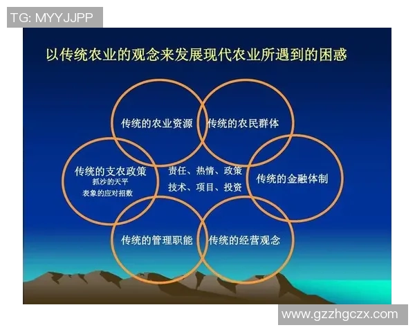 赛后分析：北京网球队与上海网球队的协作与战术对比探讨