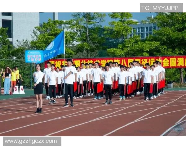 陈丽排球生涯回顾与展望对话记录分享运动精神与成长故事